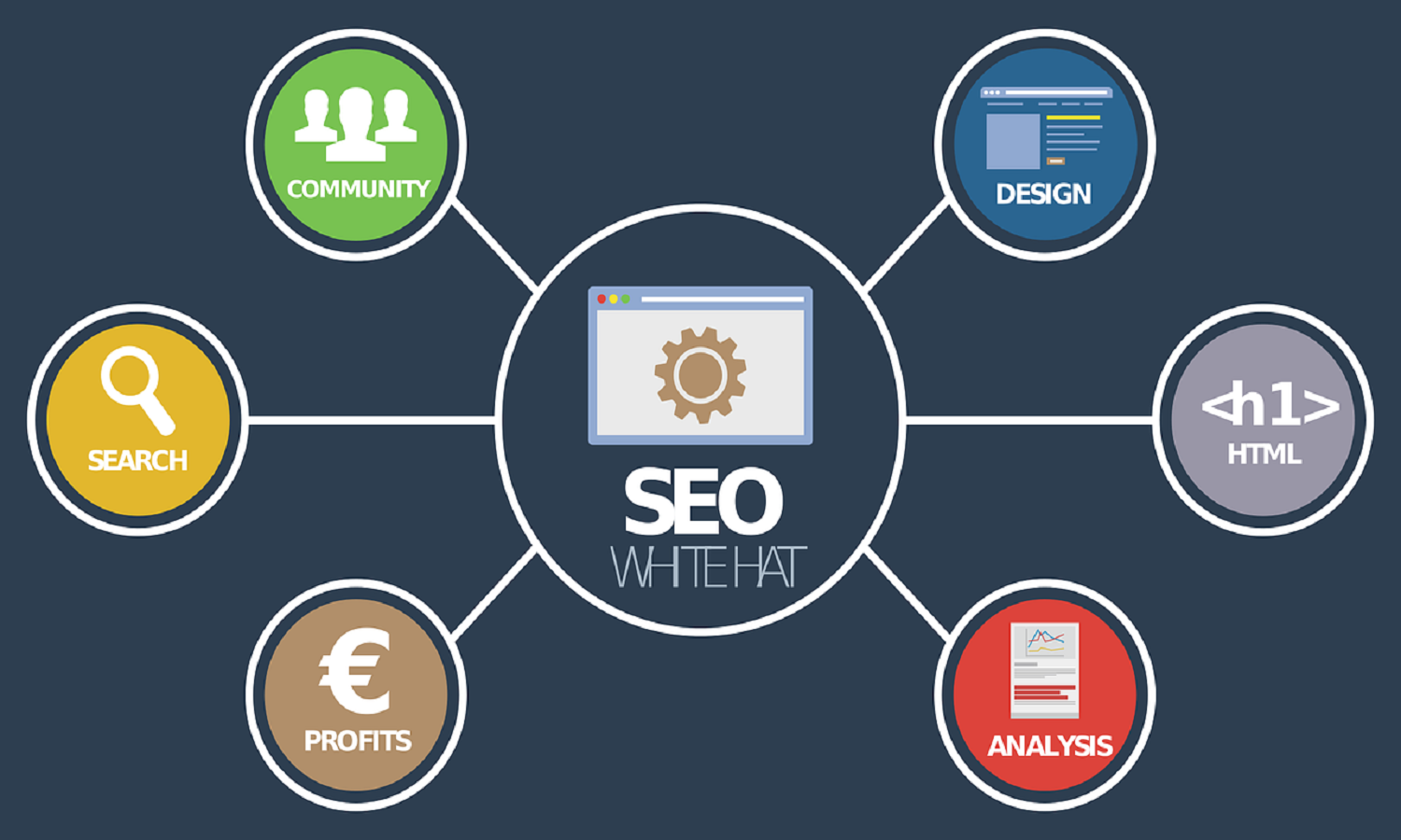 How Search Engine Optimization Transforms your Business