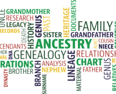 Ancestrydna activate