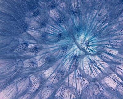 Inverse and Multiplicative Inverse