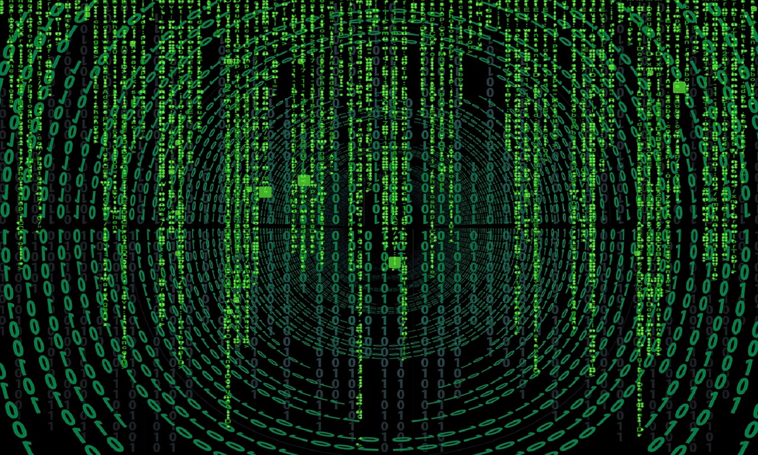 Which Sportsbook Software Should You Use?