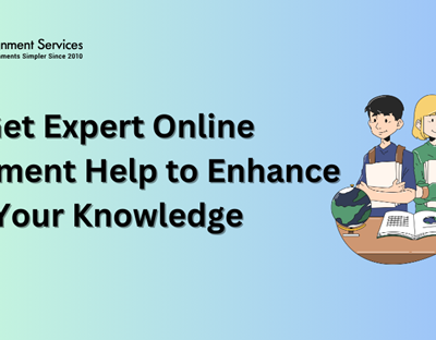 Online Assignment Help